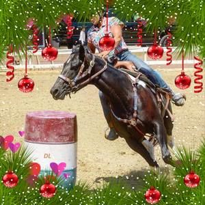 Meet your Posher, Holly